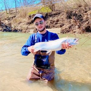 Meet your Posher, Joseph